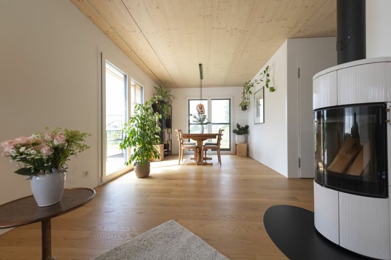 Modernes EFH mit vielseitigem Raumangebot (5)