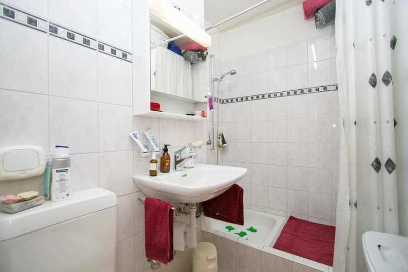 Nasszelle mit Dusche / Toilette