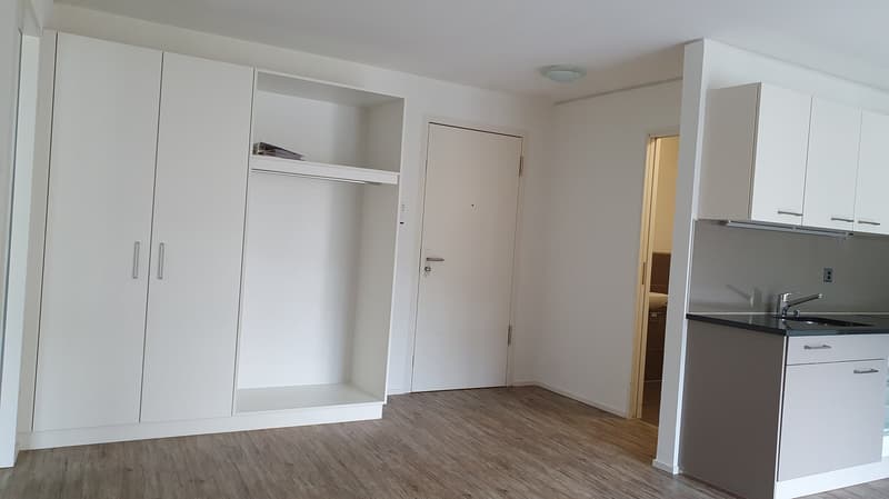 Spacious studio apartment with white walls, hardwood flooring, built-in closets, and a kitchenette with a dishwasher.