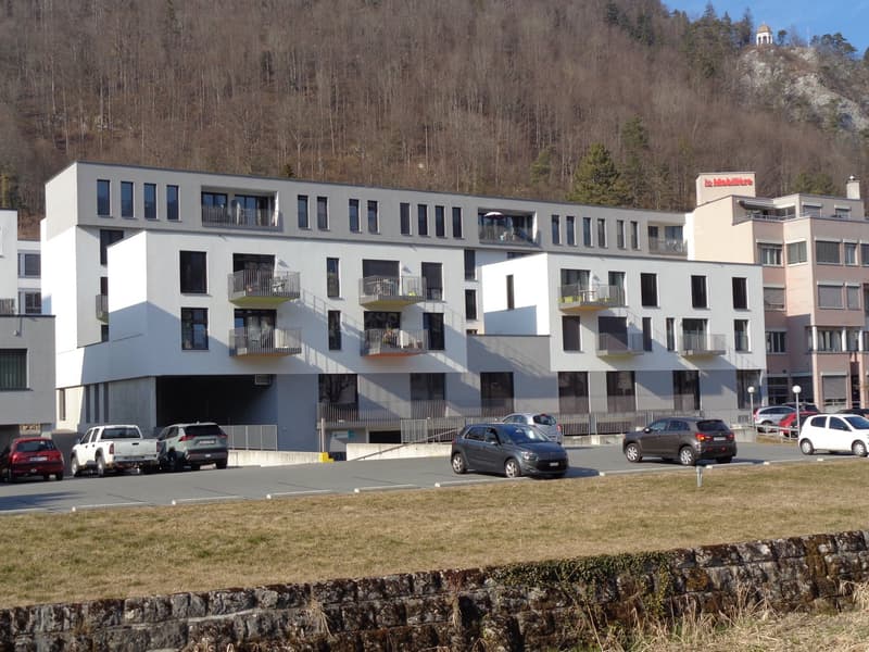 Multi-story apartment building with balconies, parking spaces in front, surrounded by trees and mountains in the background