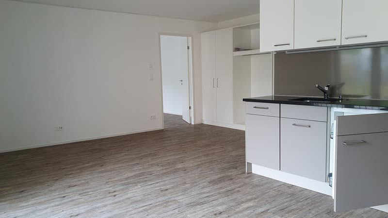 Open-concept studio apartment with hardwood-style flooring, white walls, built-in kitchen cabinets, and a dishwasher visible in the kitchen area.