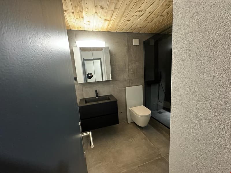 Modern bathroom with walk-in shower, toilet, sink, mirror, wooden ceiling
