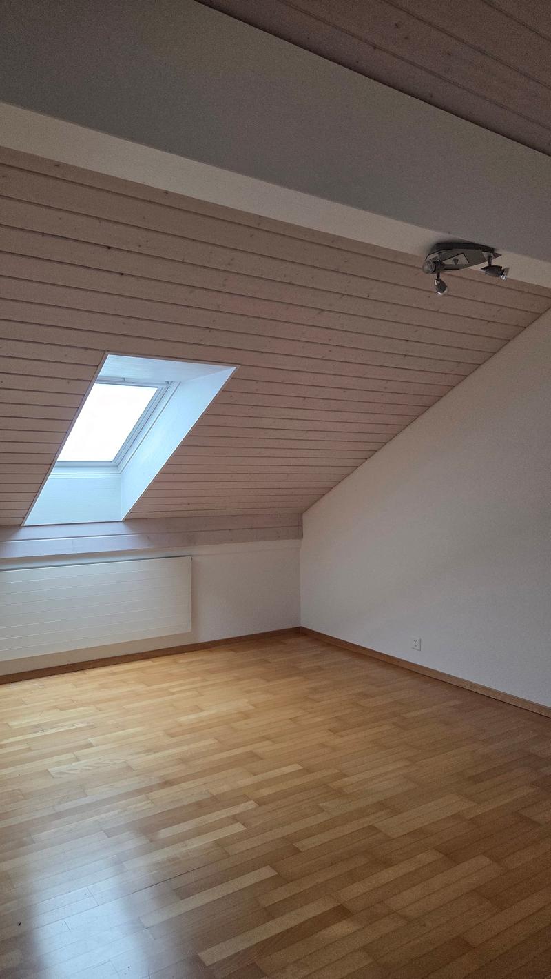 Apartment in the attic with direct access from the elevator (16)