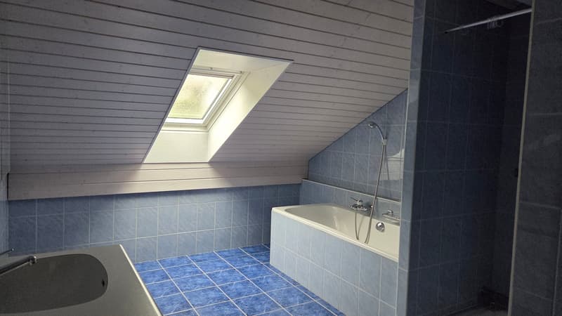 raised ground floor, bathtub, blue tiled floor, shower, skylight window