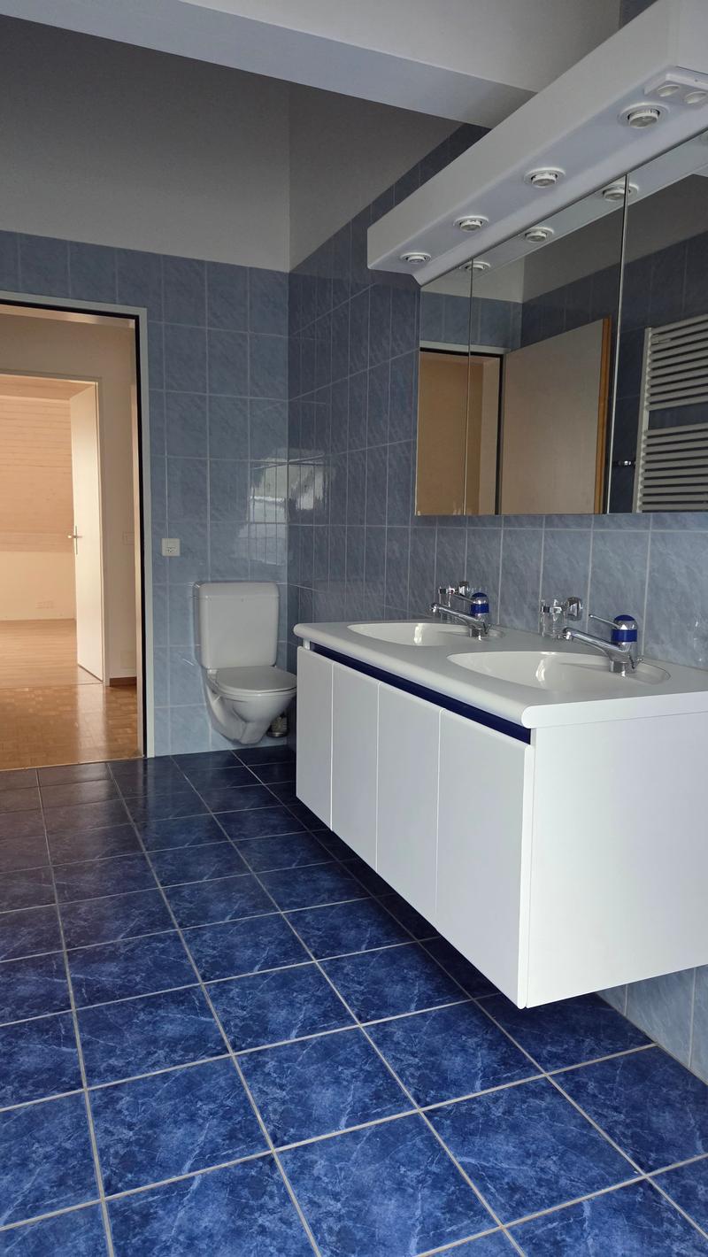white toilet, double sink, large mirror, blue tile floor, white vanity