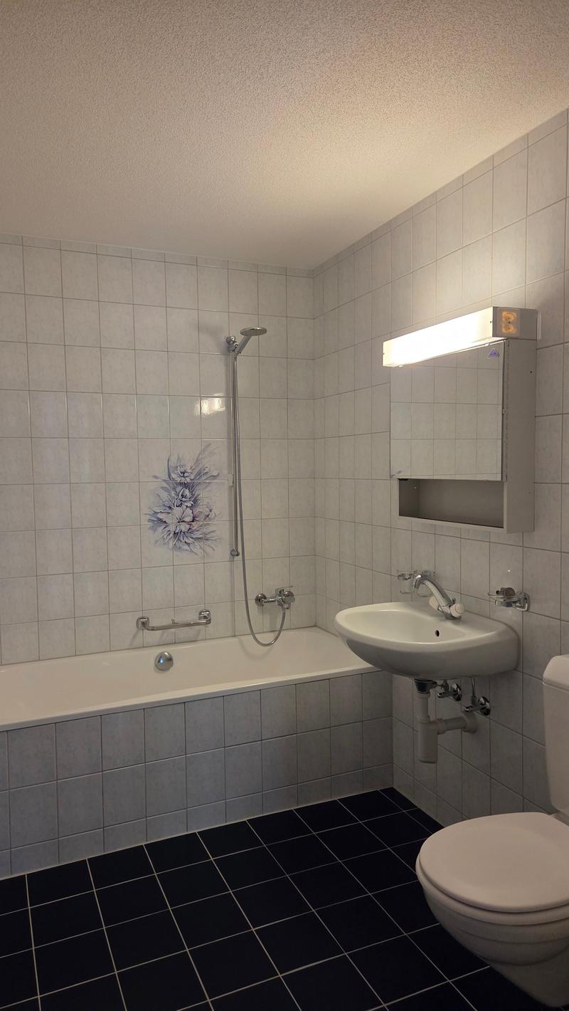 Bathtub, shower, sink, toilet, white tiles, faucet, mirror, light fixture