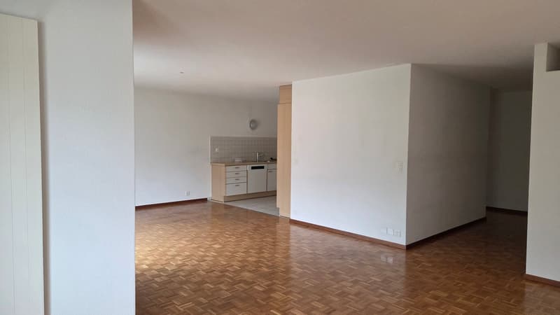 Open floor plan, white walls, wooden floor, small kitchen nook with sink, cabinet, and dishwasher.