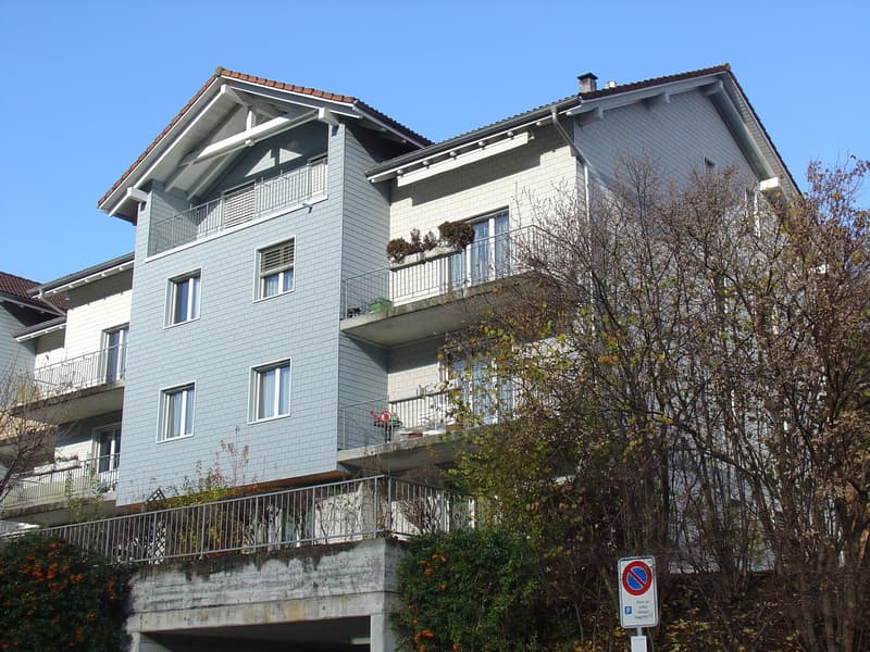 Apartment located in a building with elevator. (13)