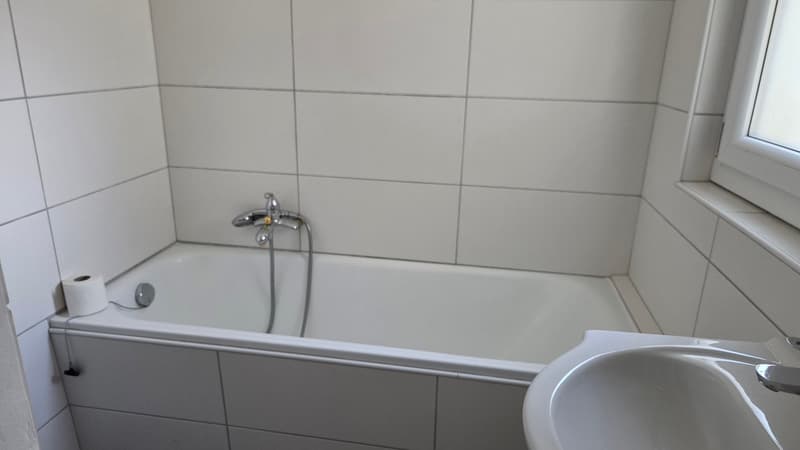 Apartment with 3.5 rooms close to the village center (9)