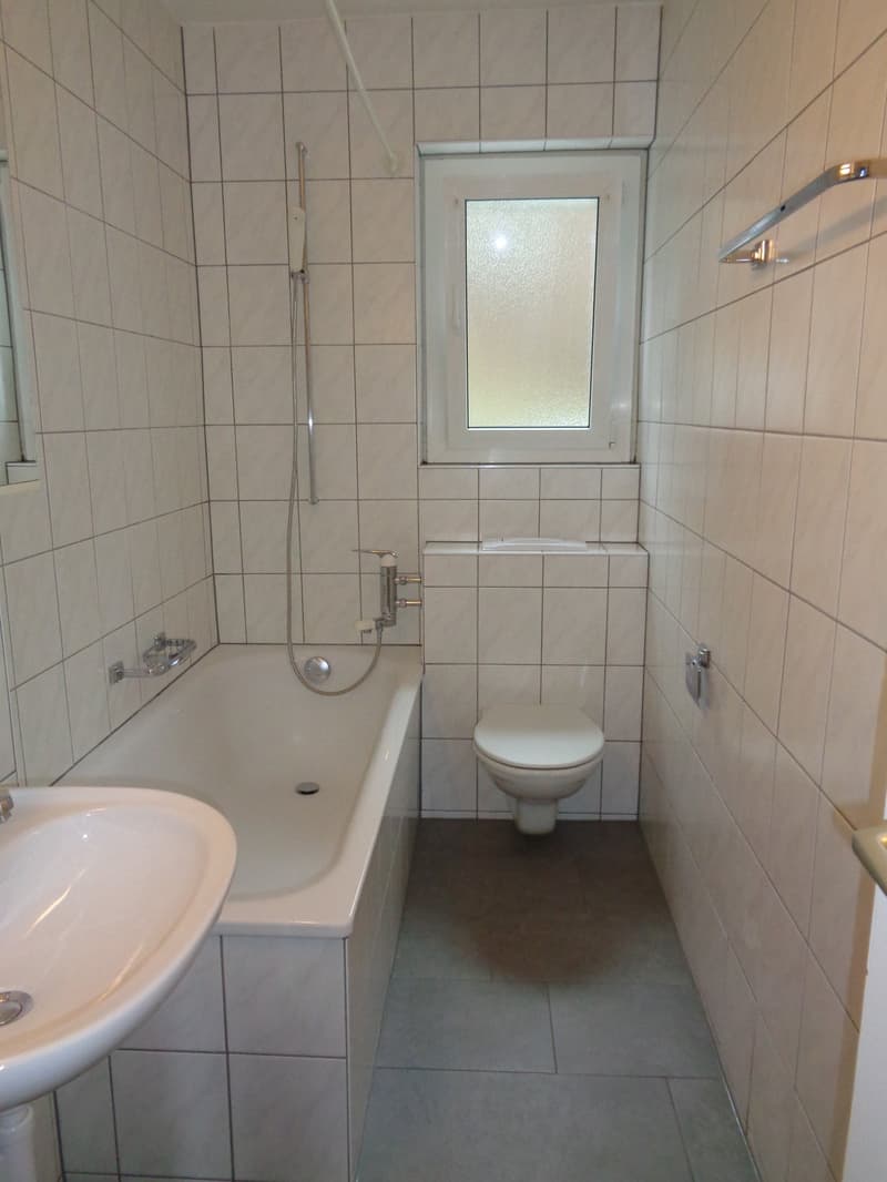 Exceptional offer: first rental free! (4)