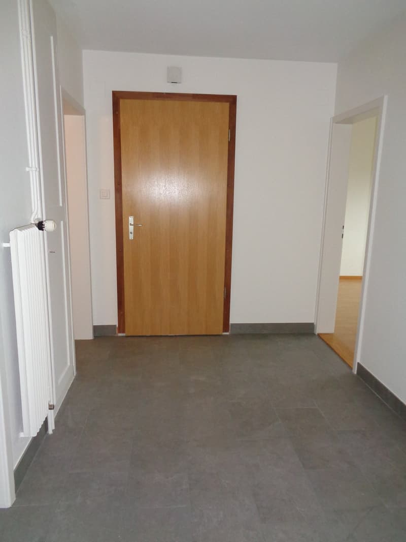 Exceptional offer: first rental free! (5)