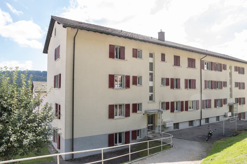 Exceptional offer: first rental free! (11)