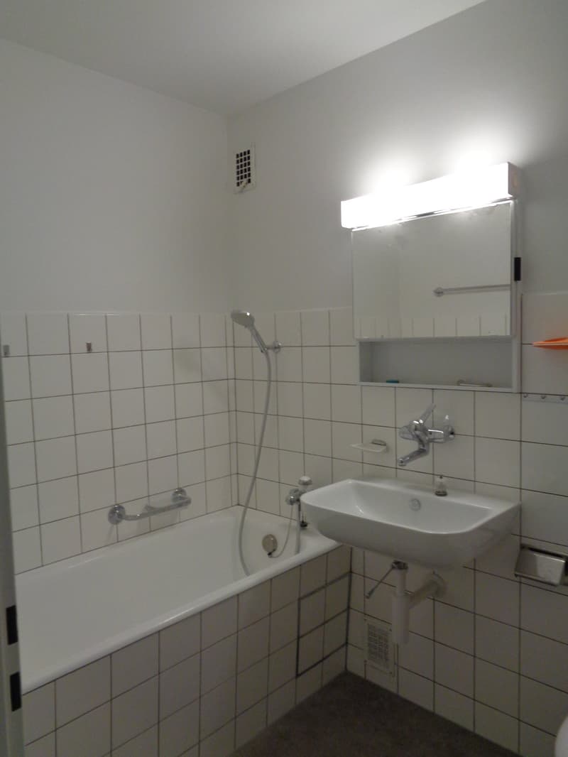 Large 3.5-room apartment close to the city center. (10)