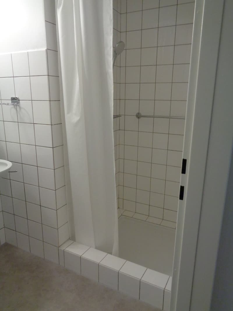 Large 3.5-room apartment close to the city center. (9)