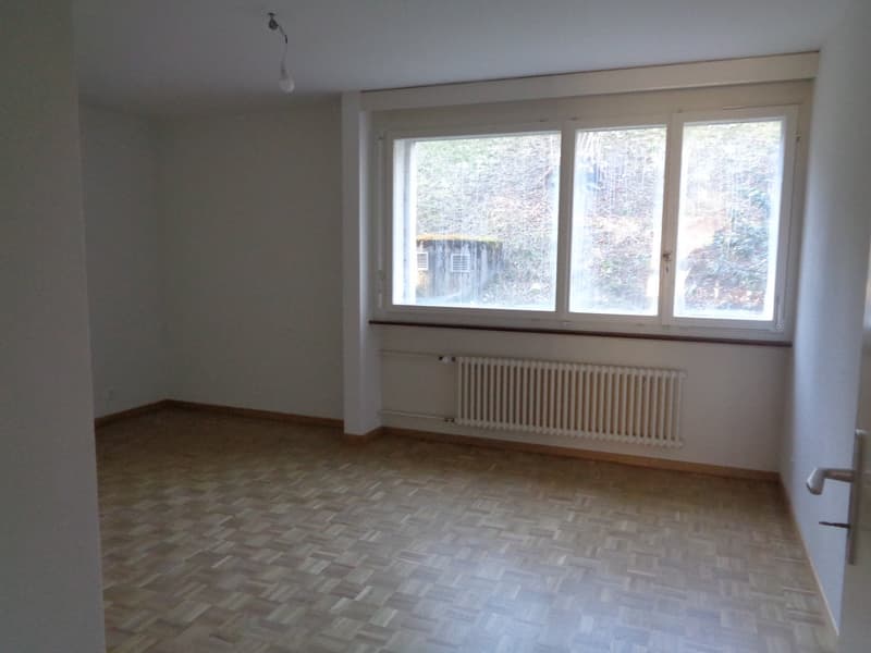 Large 3.5-room apartment close to the city center. (6)