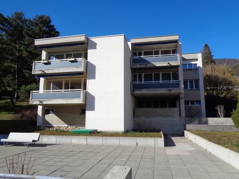 Large 3.5-room apartment close to the city center. (15)