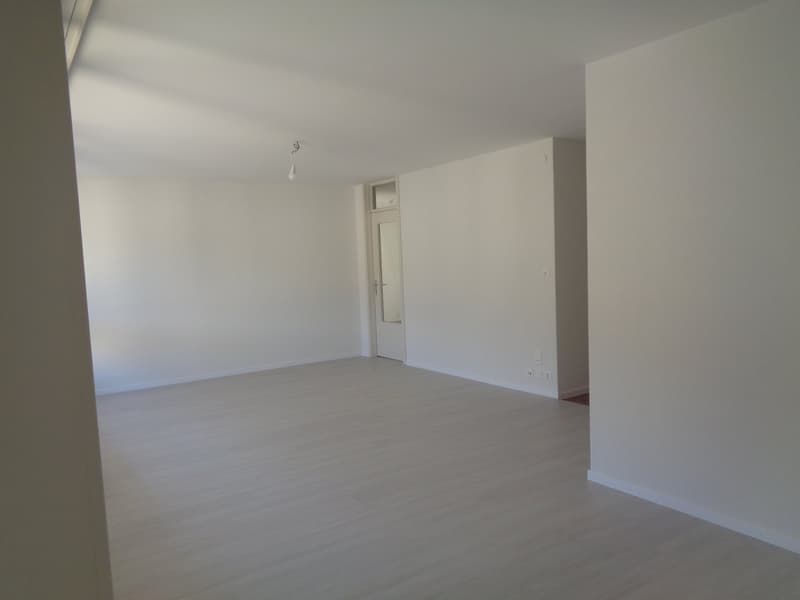 Large 3.5-room apartment close to the city center. (5)