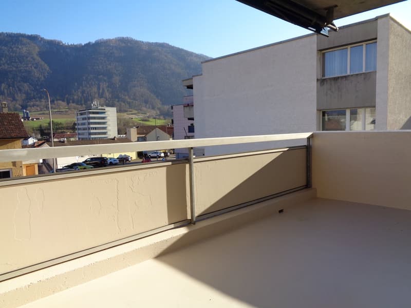 Large 3.5-room apartment close to the city center. (14)