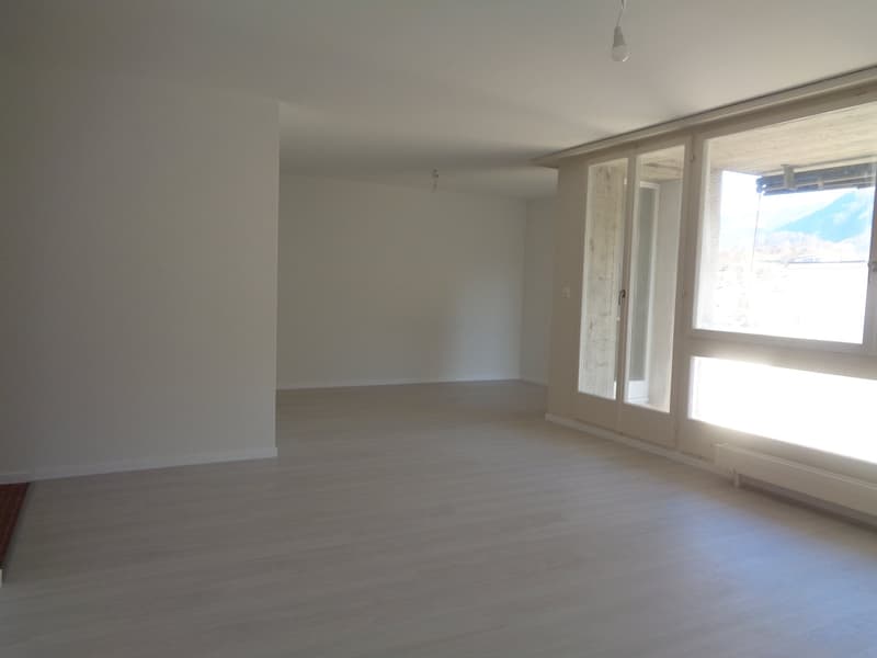 Large 3.5-room apartment close to the city center. (4)