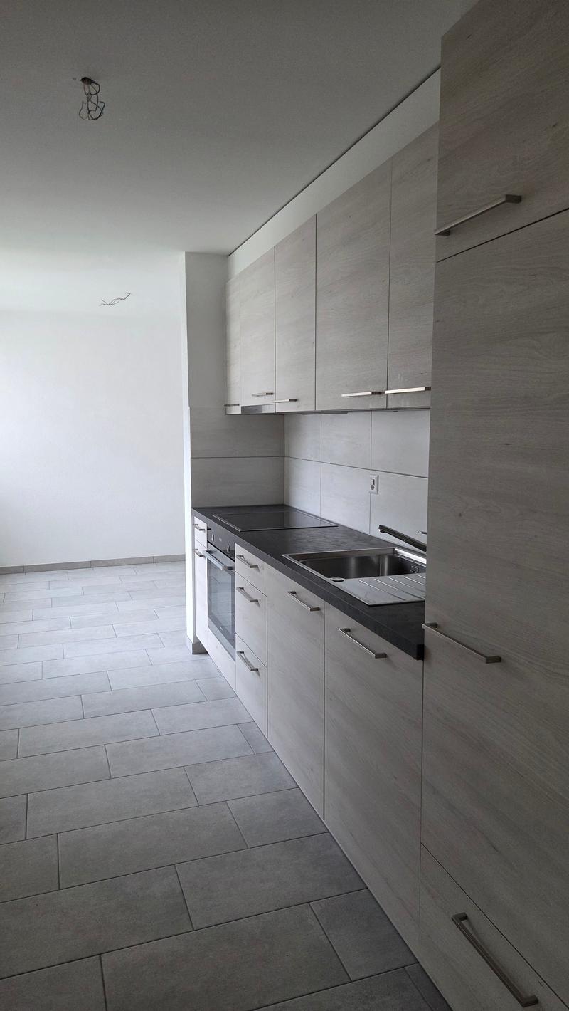 Large 3.5-room apartment close to the city center. (3)