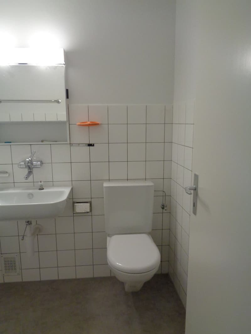 Large 3.5-room apartment close to the city center. (11)