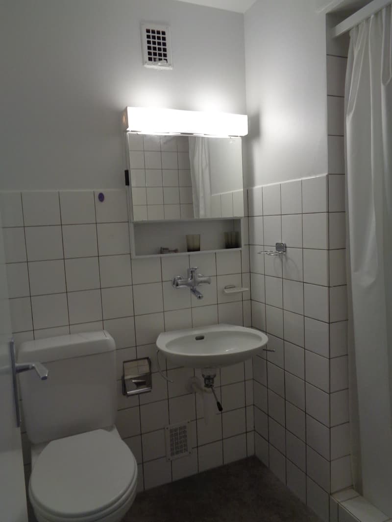 Large 3.5-room apartment close to the city center. (8)
