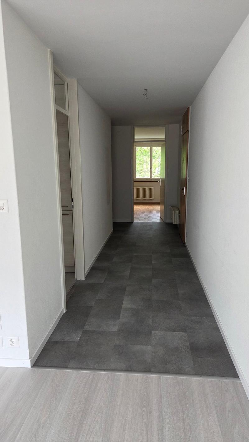 Large 3.5-room apartment close to the city center. (12)