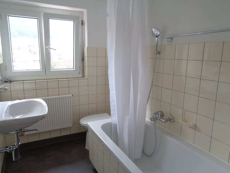 Bathroom with shower, bathtub, sink, toilet, radiator, window