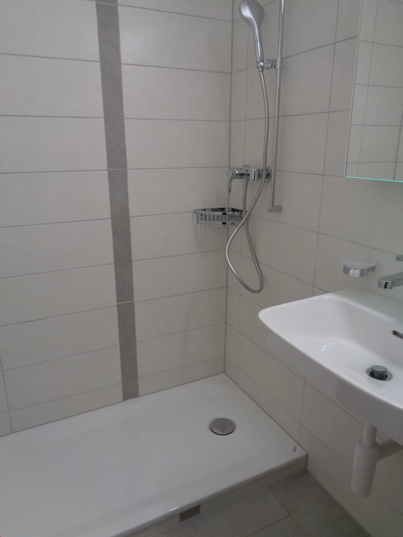 white tiled walls, white tiled floor, shower with shower head and hose, white sink, mirror