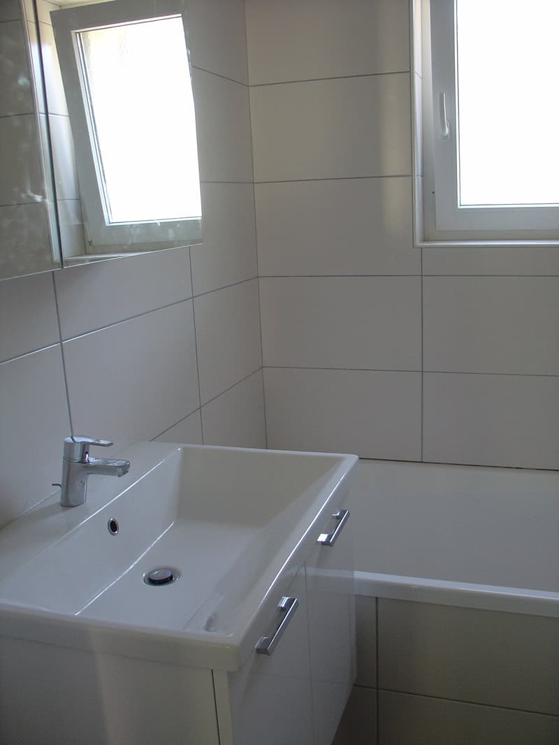 3,5 Zimmer in einem kleinen Haus mit 2 Wohnungen. (9)