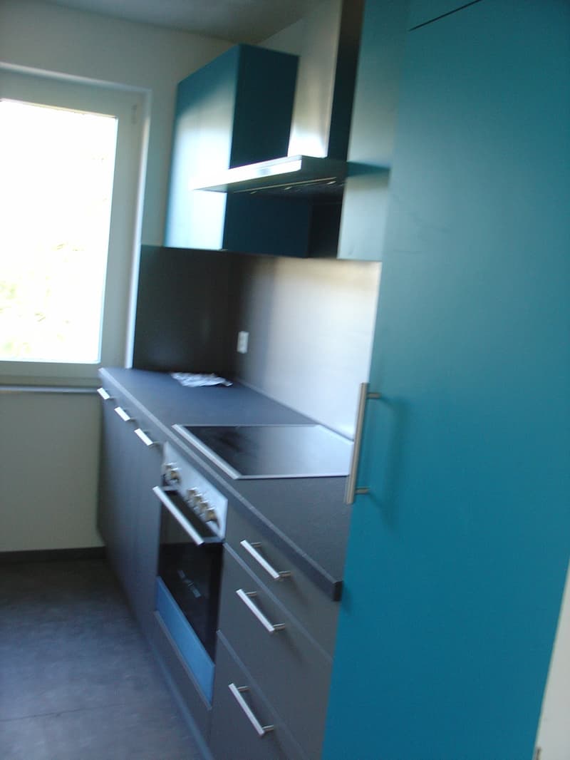 3,5 Zimmer in einem kleinen Haus mit 2 Wohnungen. (1)