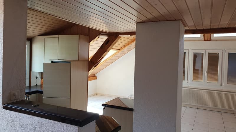Appartamento di 3 locali a meno di tre minuti dal centro città (4)