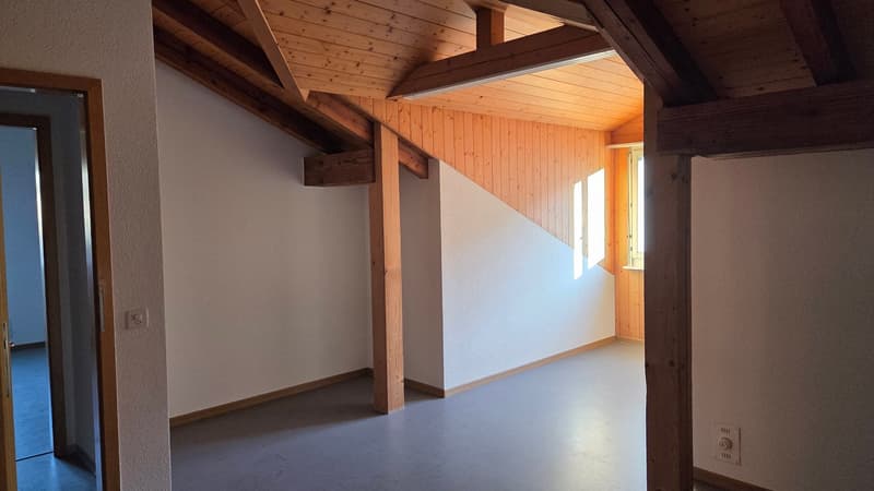 Wohnung in einer Doppelferienwohnung zwischen Stadtzentrum und CFF-Bahnhof (9)