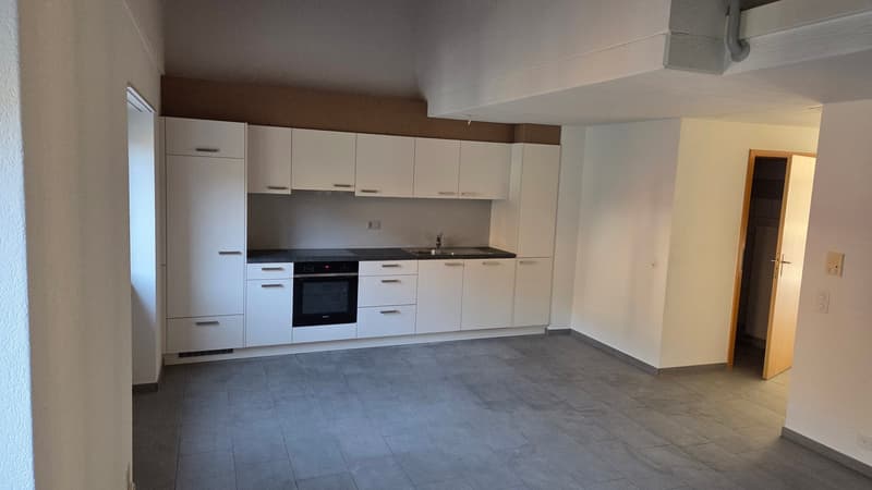 Wohnung in einer Doppelferienwohnung zwischen Stadtzentrum und CFF-Bahnhof (3)