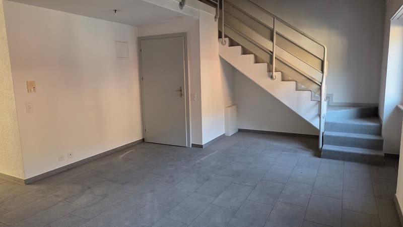 Wohnung in einer Doppelferienwohnung zwischen Stadtzentrum und CFF-Bahnhof (5)