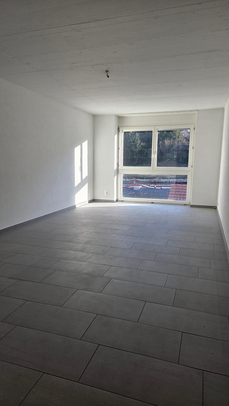 Wohnung in einer Doppelferienwohnung zwischen Stadtzentrum und CFF-Bahnhof (6)