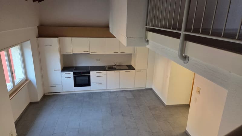 Wohnung in einer Doppelferienwohnung zwischen Stadtzentrum und CFF-Bahnhof (1)