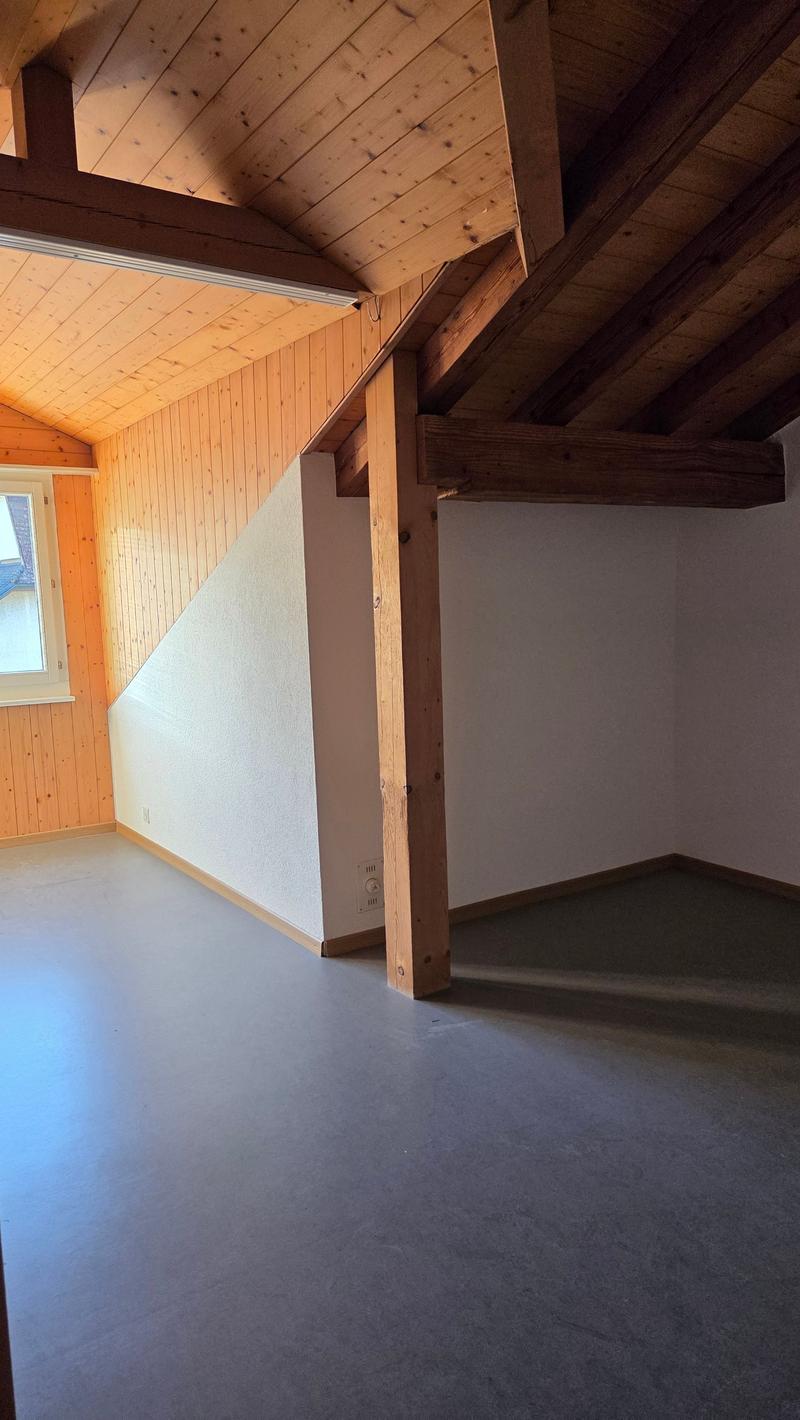 Wohnung in einer Doppelferienwohnung zwischen Stadtzentrum und CFF-Bahnhof (8)