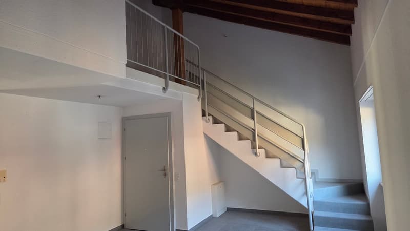 Wohnung in einer Doppelferienwohnung zwischen Stadtzentrum und CFF-Bahnhof (4)