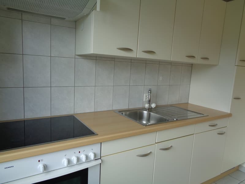 Appartement in der Nähe des CFF-Bahnhofs (2)