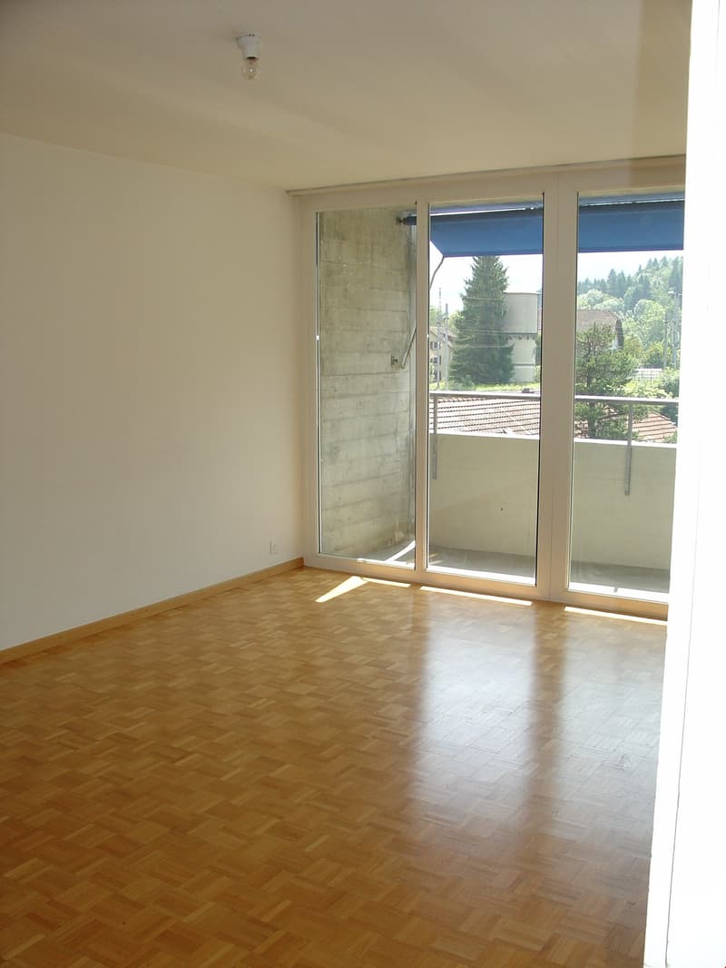 Appartement in der Nähe des CFF-Bahnhofs (4)