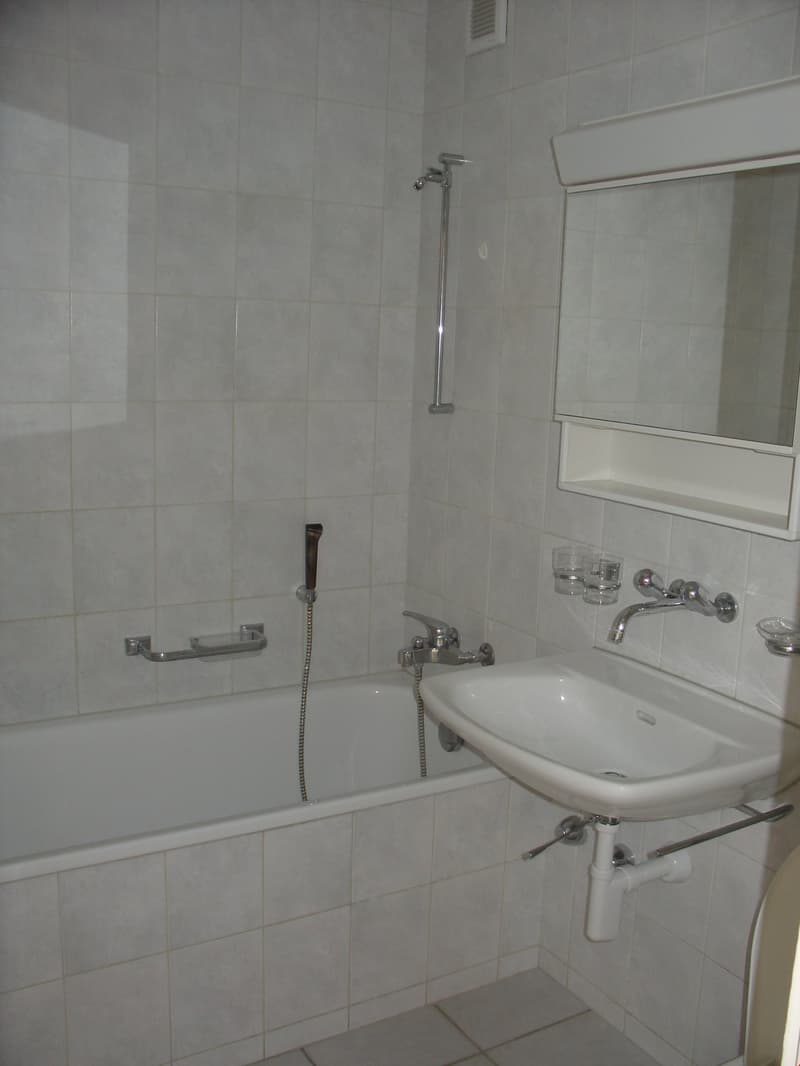 Appartement in der Nähe des CFF-Bahnhofs (5)