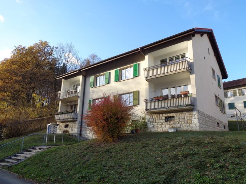 Appartamento situato in un piccolo edificio di 4 unità (10)