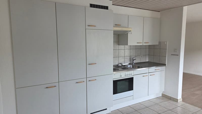 Appartamento adattato in residenza per anziani. (1)