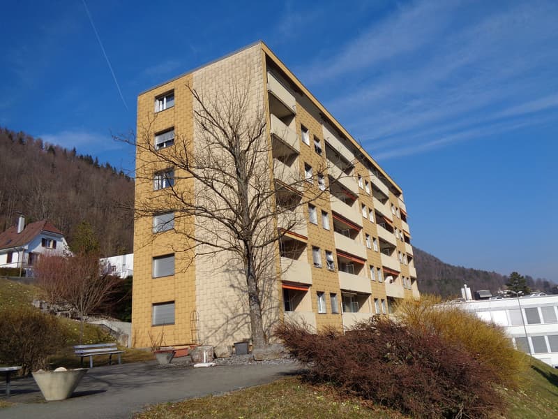 Appartamento adattato in residenza per anziani. (16)