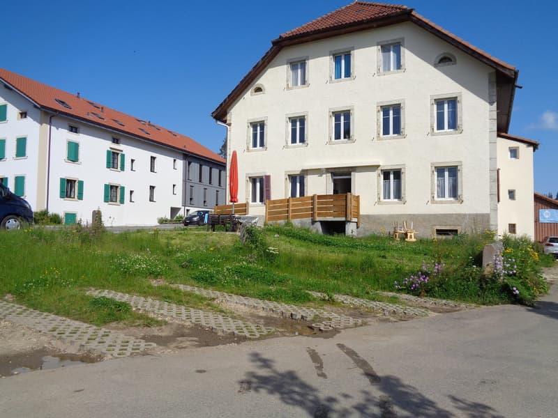 Appartamento di 1.5 locali vicino al centro del villaggio (3)