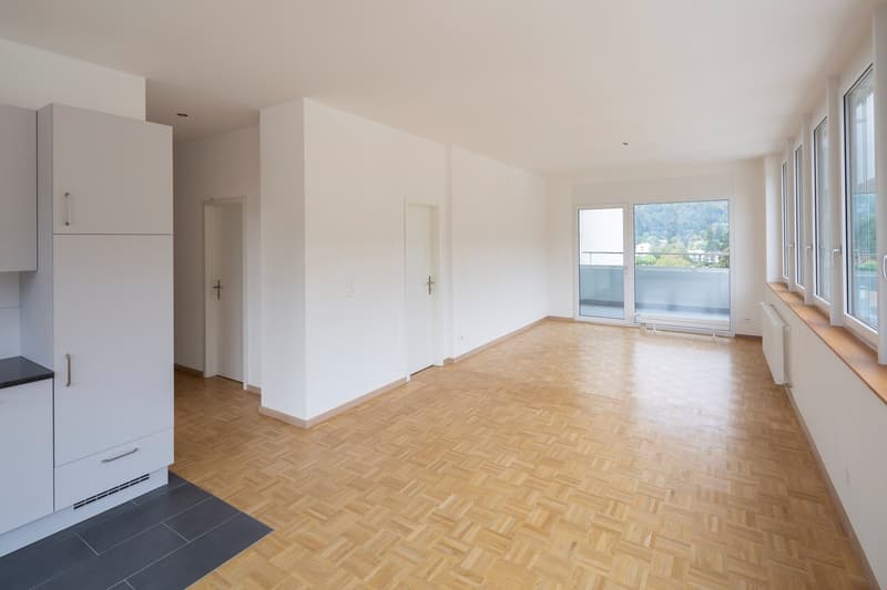 Appartement de rénovation récente au centre-ville (6)