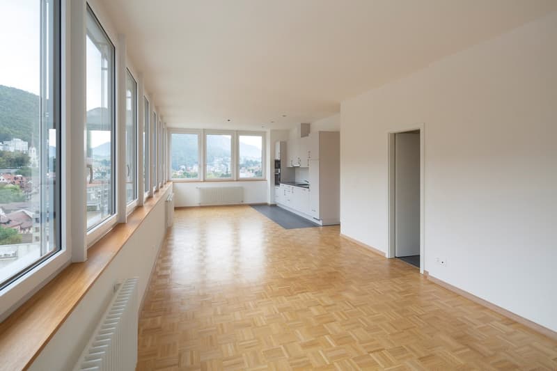 Appartement de rénovation récente au centre-ville (3)
