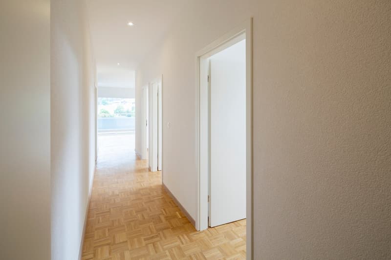 Appartement de rénovation récente au centre-ville. (8)