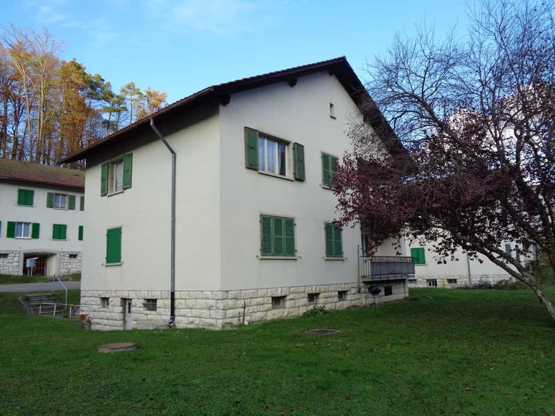 Appartement situé dans un petit immeuble de 2 logements. (10)